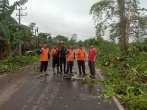 Bupati Muba Toha Apresiasi Respons Cepat Tim Gabungan Evakuasi Pohon Tumbang di Sekayu