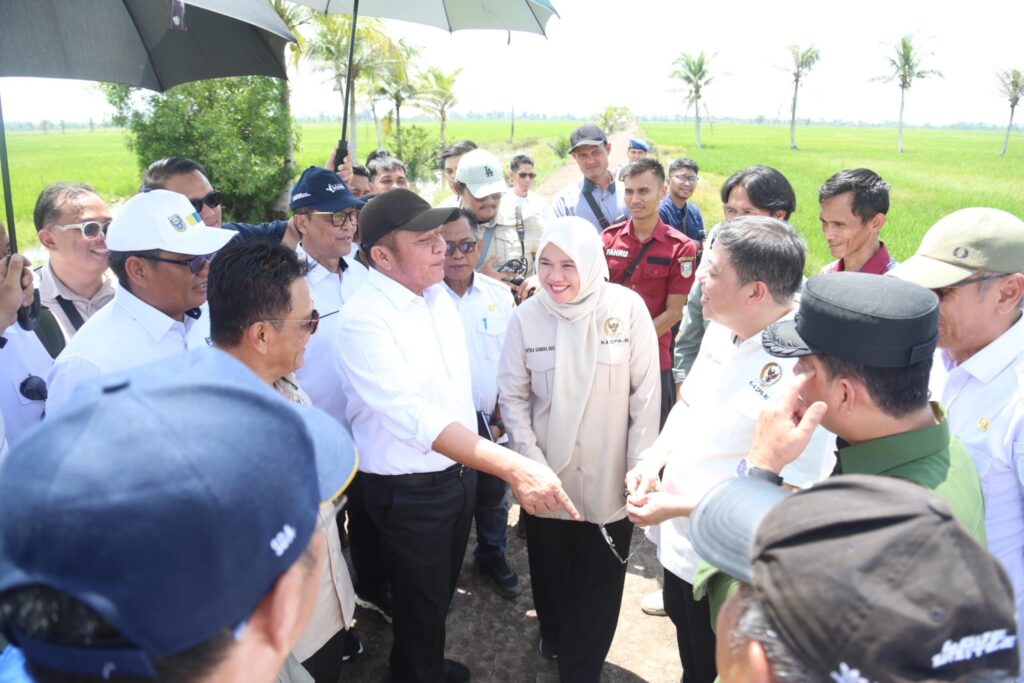 Herman Deru Bersama Komisi IV DPR RI Tinjau Lokasi OPLA Desa Srimenanti Tanjung Lago Banyuasin