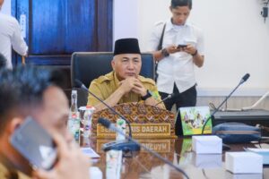 Pemkab Muba Ikuti Rakor Wilayah TP2DD 2025