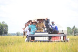 Panen Raya Serentak Bersama Prabowo, Gubernur Sumsel Salurkan Bantuan Simbolis Kepada Kelompok Tani