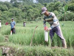 Menteri Nusron Wahid Akan Pimpin Langsung GEMAPATAS yang Dicanangkan Serentak di 23 Kabupaten/Kota