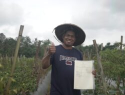 Setahun Menteri Nusron Wahid: 96 Persen Penertiban Tanah Telantar Dialokasikan untuk Reforma Agraria