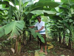 Perjalanan Reforma Agraria di Asahduren, Sertipikat Tanah Ulayat Buka Akses Ekonomi Masyarakat