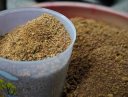 Lewat Usaha Gula Semut, Reforma Agraria Bangkitkan Kemandirian Ekonomi Desa Hargorejo di Kulon Progo