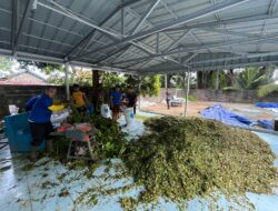 Ditpolairud Polda Sumsel Siap Produksi Massal Pupuk Organik Eceng Gondok
