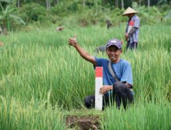 Mudik ke Kampung Halaman? Jaga Batas Tanah Cegah Konflik Antartetangga