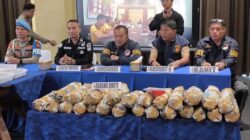 Bongkar Ladang Ganja 20 Hektare di Sumsel, Ribuan Bibit dan 220 Kg Siap Edar Disita