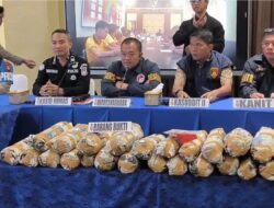 Bongkar Ladang Ganja 20 Hektare di Sumsel, Ribuan Bibit dan 220 Kg Siap Edar Disita