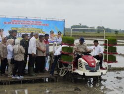 Antisipasi El Nino, Bupati Lanosin Dampingi Wamentan dan Gubernur Sumsel Percepat Tanam Modern di OKU Timur