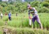 Pasang Patok Jadi Cara Sederhana Cegah Sengketa Tanah dengan Tetangga