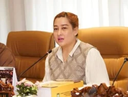 Mayoritas BUMD Sumsel ‘Sakit’, DPRD Sumsel Soroti Minimnya Kontribusi ke PAD
