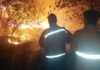 Dalam Dua Hari, Karhutla Habiskan 11,5 Hektare Lahan di Muba