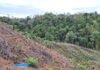UU Pengaturan Reforma Agraria Buka Jalan Pemulihan Hak Masyarakat dalam Konflik Pertanahan